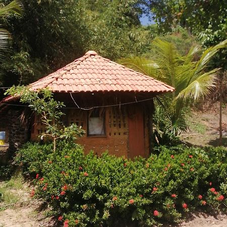 Ecopousada Casa Do Carimbo Fortalezinha Algodoal Kültér fotó